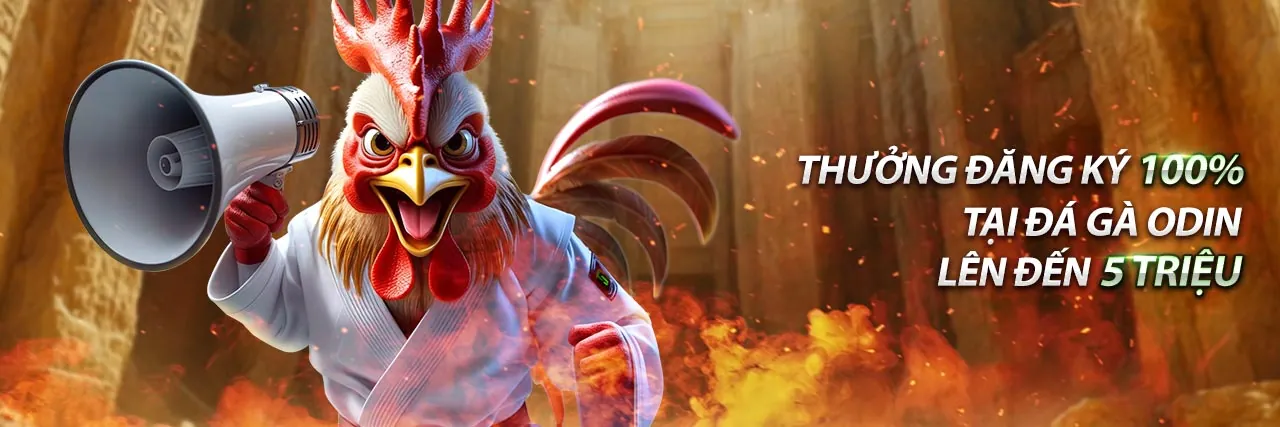 Ứng dụng đá gà trực tiếp Thomo C4 trên điện thoại